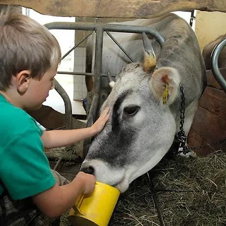 Farm stay Berg-weiler-obereggerhof